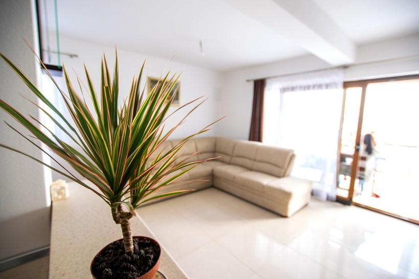 Andjela Apartment *