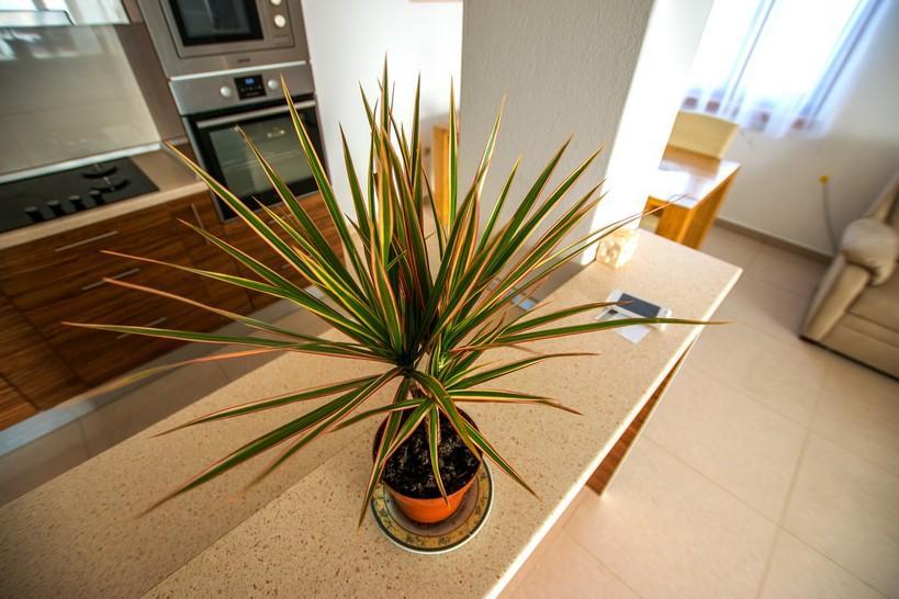 Andjela Apartment Starigrad Paklenica